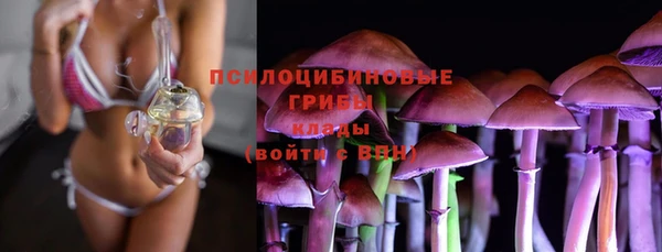 2c-b Абдулино
