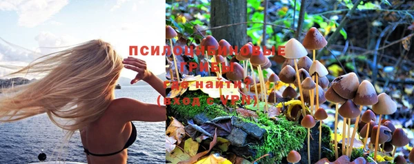 бошки Абаза