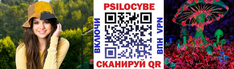 Галлюциногенные грибы Psilocybine cubensis  Тбилисская 